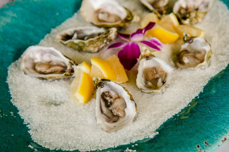 Oahu Agricultural Tours - Kualoa Oysters