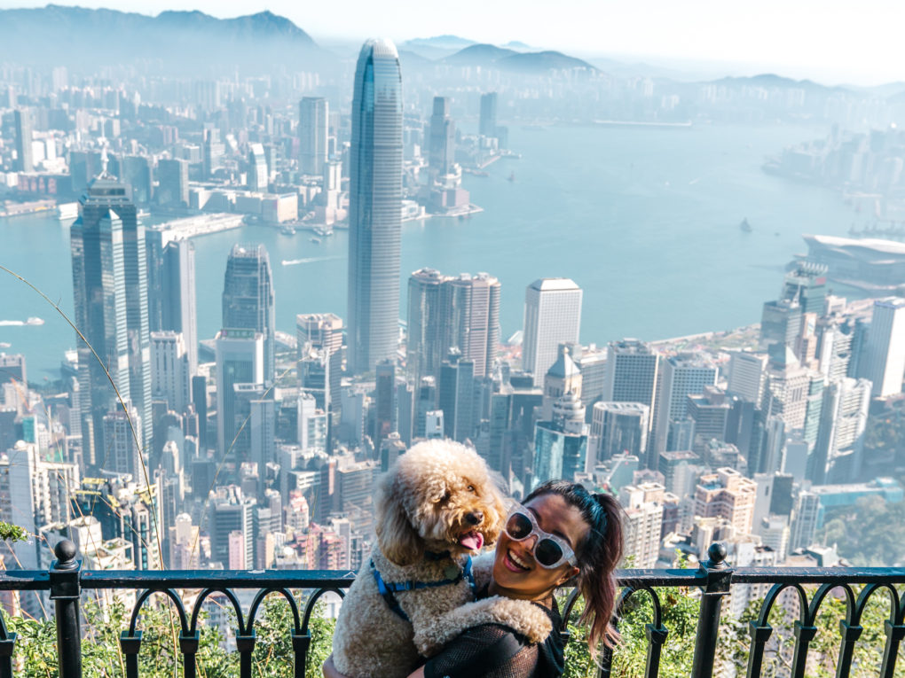 Hong Kong Travel Guide - Top Things to Do in Hong Kong - Photo by Indulgent Eats