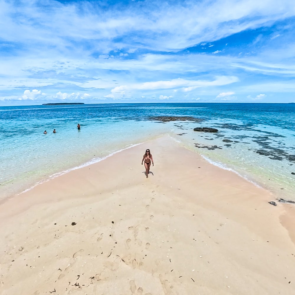 Naked Island