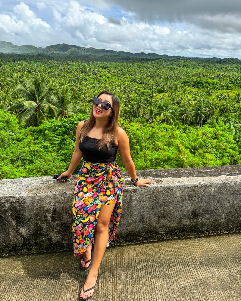 Coconut Plantation Mountain View