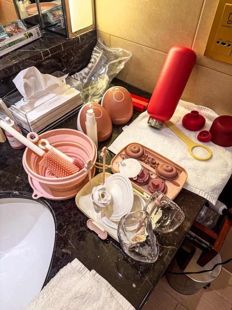 Bottle Washing Station